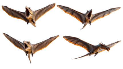 Pterodactyls Soaring Gracefully Against a Transparent Background Generative AI