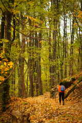 A woman makes her way along a winding forest path, surrounded by the rich hues of autumn. Her sturdy backpack and trekking poles suggest a passion for adventure amidst nature's beauty.