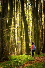 A woman makes her way along a winding forest path, surrounded by the rich hues of autumn. Her sturdy backpack and trekking poles suggest a passion for adventure amidst nature's beauty.