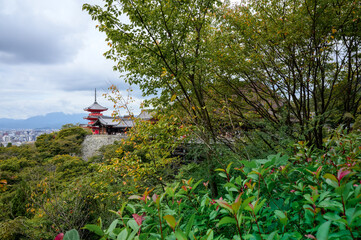 kiyomizu-dera kyoto japan view