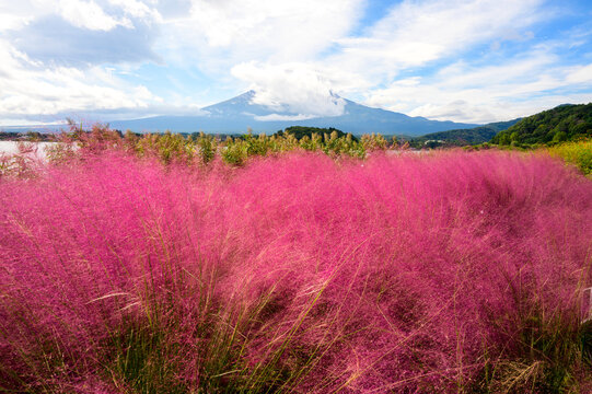 kawaguchiko japan