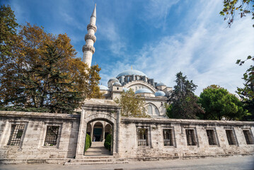 Fototapeta premium View of the Suleymaniye Mosque in Istanbul.