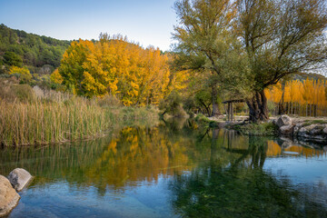 View of the reflection of the trees in autumn on the river, in the Enchanted Forest of Fig Trees in Pozo Alcon, Jaen, Andalucia, Spain
