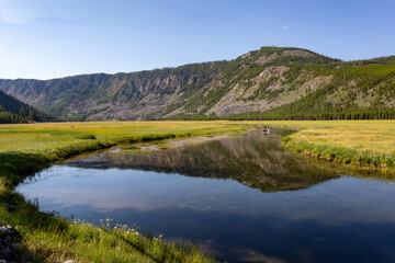View in Yellowstone, Wyoming...