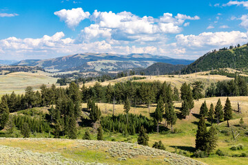 Obraz premium View in the Yellowstone, Wyoming...