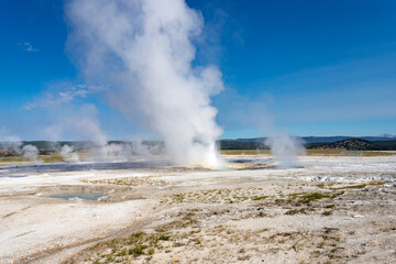 Lower Geyser Basin, Yellowstone, Wyoming...