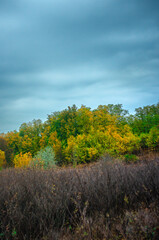 Landscape photography on the field with big and smooth clouds in the sky,Stormy weather on the picture.Big blue clouds iver the forest nd field, morning landscape in the woodlands.Aurumn blue hour,