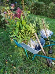 wheelbarrow with climate trees