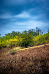Landscape photography on the field with big and smooth clouds in the sky,Stormy weather on the picture.Big blue clouds iver the forest nd field, morning landscape in the woodlands.Aurumn blue hour,