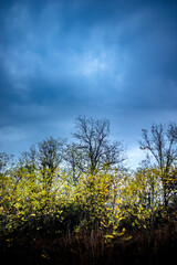 Landscape photography on the field with big and smooth clouds in the sky,Stormy weather on the picture.Big blue clouds iver the forest nd field, morning landscape in the woodlands.Aurumn blue hour,