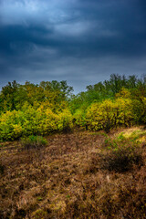 Landscape photography on the field with big and smooth clouds in the sky,Stormy weather on the picture.Big blue clouds iver the forest nd field, morning landscape in the woodlands.Aurumn blue hour,