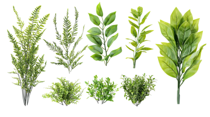 Tropical Foliage Collection Featuring Various Lush Green Plants Generative AI