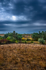 Obraz premium Landscape photography on the field with big and smooth clouds in the sky,Stormy weather on the picture.Big blue clouds iver the forest nd field, morning landscape in the woodlands.Aurumn blue hour,