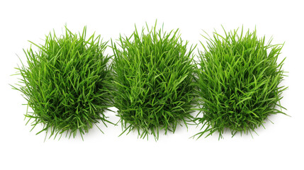 Fresh Green Grass Patches on White Background