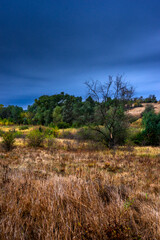 Landscape photography on the field with big and smooth clouds in the sky,Stormy weather on the picture.Big blue clouds iver the forest nd field, morning landscape in the woodlands.Aurumn blue hour,