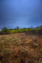 Landscape photography on the field with big and smooth clouds in the sky,Stormy weather on the picture.Big blue clouds iver the forest nd field, morning landscape in the woodlands.Aurumn blue hour,