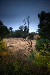 Landscape photography on the field with big and smooth clouds in the sky,Stormy weather on the picture.Big blue clouds iver the forest nd field, morning landscape in the woodlands.Aurumn blue hour,