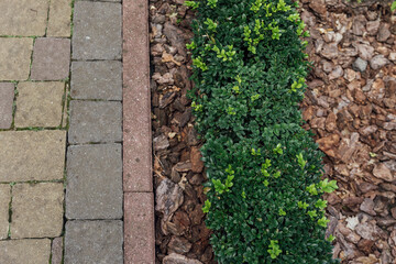 Beautiful summer garden with a walkway winding its way through