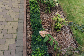 Beautiful summer garden with a walkway winding its way through