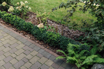 Beautiful summer garden with a walkway winding its way through