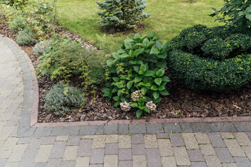 Beautiful summer garden with a walkway winding its way through