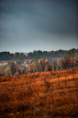 Foggy in the forest,autumn morning .Photo in the rainy and foggy weather, beautiful landscape photo, yellow and red colors .Clouds in the sky,mystery nature.Fog over the forest . Beautiful wild place