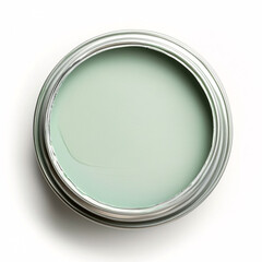 Mint Green Paint in Can - Top View