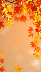 Empty blank frame on autumn maple leaves background. Fall mockup isolated with white highlights, png
