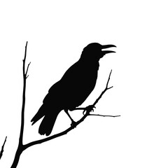 Fototapeta premium a black and white silhouette of a crow perched on a tree branch.