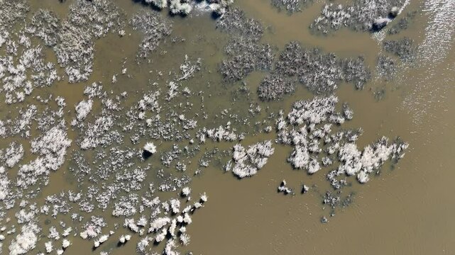 Top down video of slow motion video, drone view at karacabey floodplain (longoz) lake.