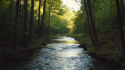 Obraz premium Serene Forest Stream Flowing Through Lush Greenery