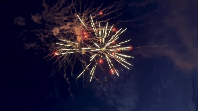 Vertical video of colorful fireworks on dark night sky