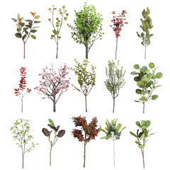 Varied Greenery and Foliage Collection