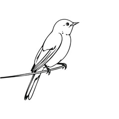 a black and white line drawing of a bird perched on a wire.