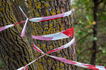 In the park on the shore of the lake there is a ribbon that fences off the passage to the cliff.