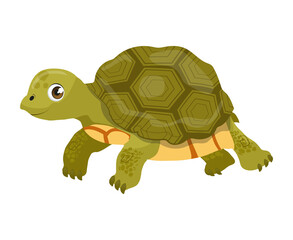 various animal arts