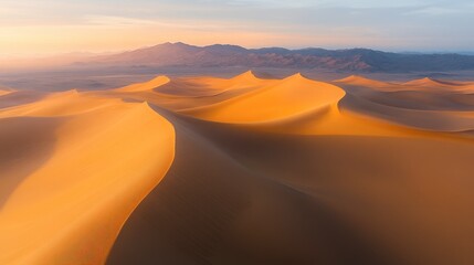 Naklejka premium Golden Hour Over Expansive Sand Dunes