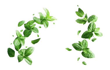Fresh mint leaves falling in the air isolated on white background peppermint spearmint herbs spices aromatherapy tea ingredient food beverage ingredient tea herbal tea organic natural food freshness