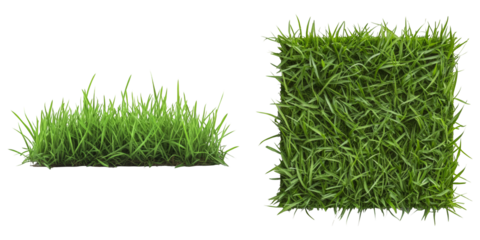 Green Grass Isolated on White Background Side and Top View Realistic Fresh Green Grass Turf for Garden Decoration Landscape Design and Architectural Element for Sustainable and Eco Friendly Projects