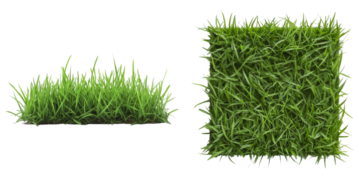 Green Grass Isolated on White Background Side and Top View Realistic Fresh Green Grass Turf for Garden Decoration Landscape Design and Architectural Element for Sustainable and Eco Friendly Projects