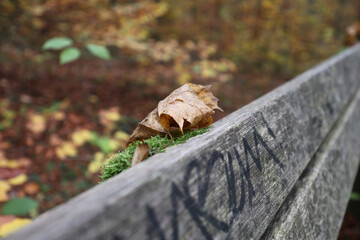 Herbst in Erlangen