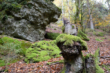 Herbst in Erlangen
