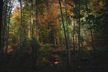 Herbst in Erlangen