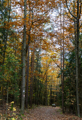 Herbst in Erlangen