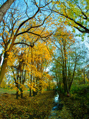 An idyllic autumn landscape, embellished with trees and a gentle river.