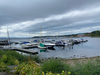 boats in the harbor