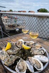 Eating of fresh live oysters with citron at farm cafe in oyster-farming village, with view on boats...