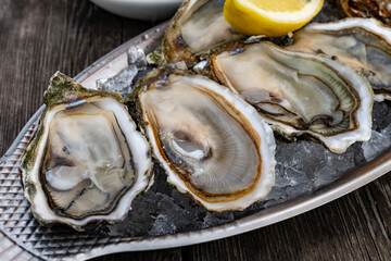Plate with fresh live oysters with citron, bread, butter and white wine served on ice at restaurant...