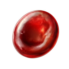Red blood cell erythrocyte isolated on Transparency Background healthcare and medical zoom illustration biology science anatomy human body part vein artery capillary vessel microscopic view blood