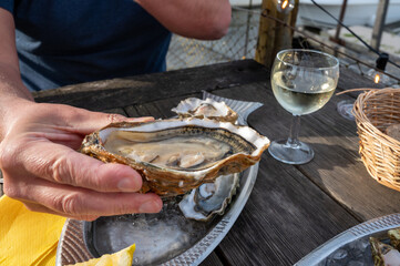Eating of fresh live oysters with citron at farm cafe in oyster-farming village, Arcachon bay,...